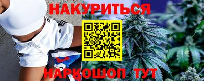 дмт Новодвинск