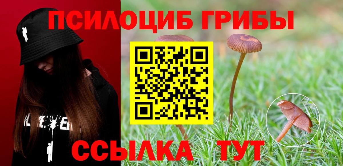 Псилоцибиновые грибы мухоморы  Вход с VPN  Трёхгорный 